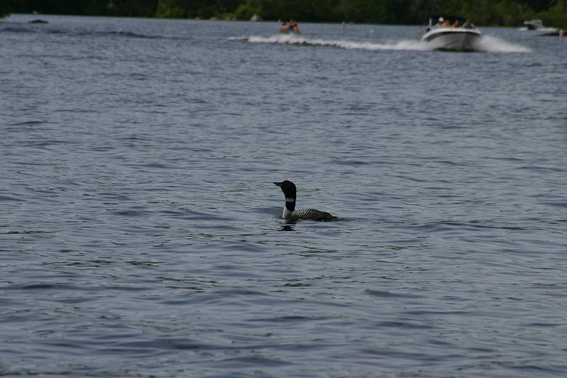 Picture 3001.jpg